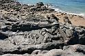 Bretagne (310)